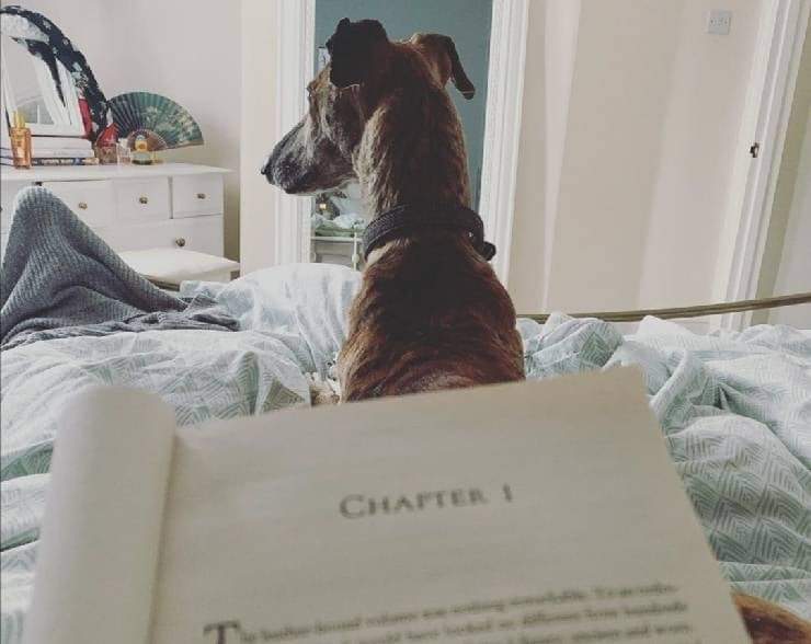 Libri sui cani per pambini