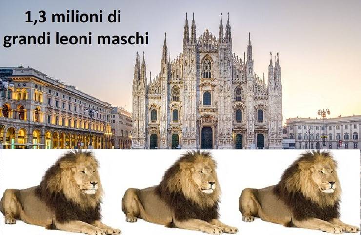 Monumenti e animali
