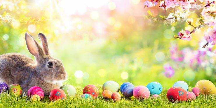 Il coniglio come simbolo di Pasqua