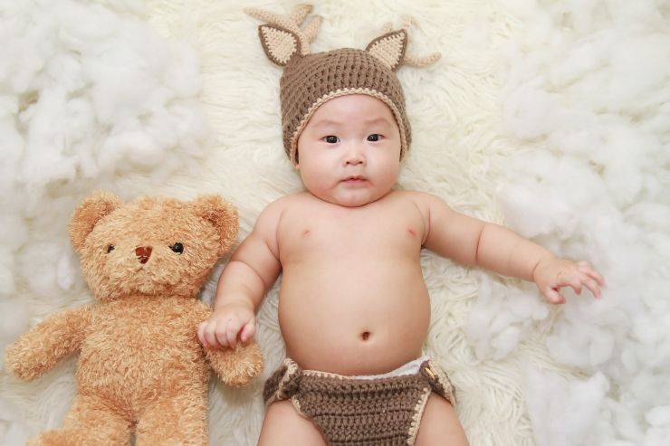 bimbo animale peluche