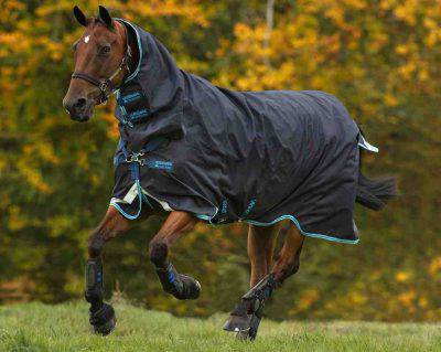 coperte per cavalli