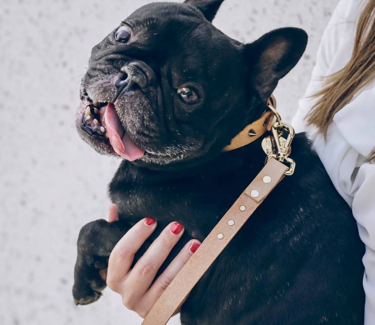 Regali per la mamma di un cane