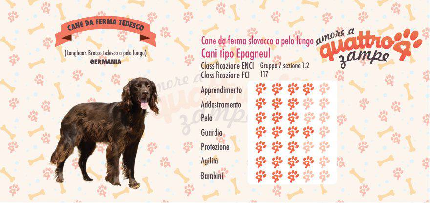 Cane da Ferma Tedesco a Pelo Lungo scheda razza