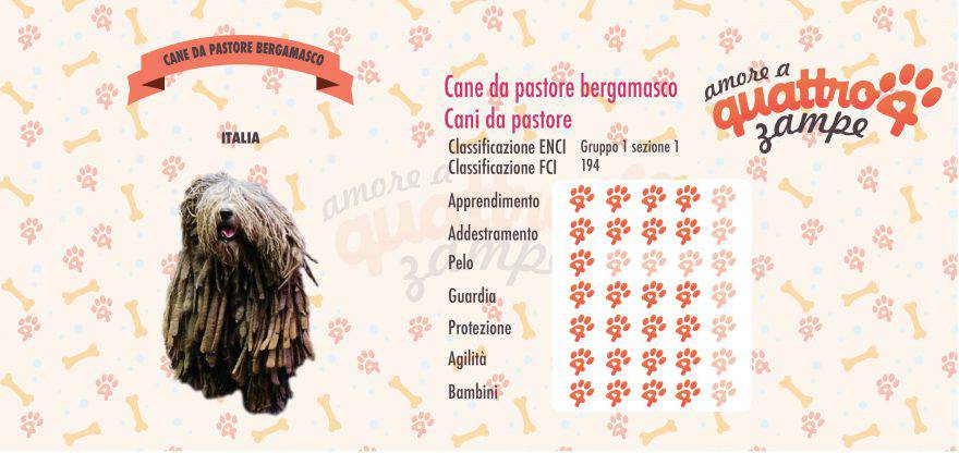 Pastore bergamasco scheda razza