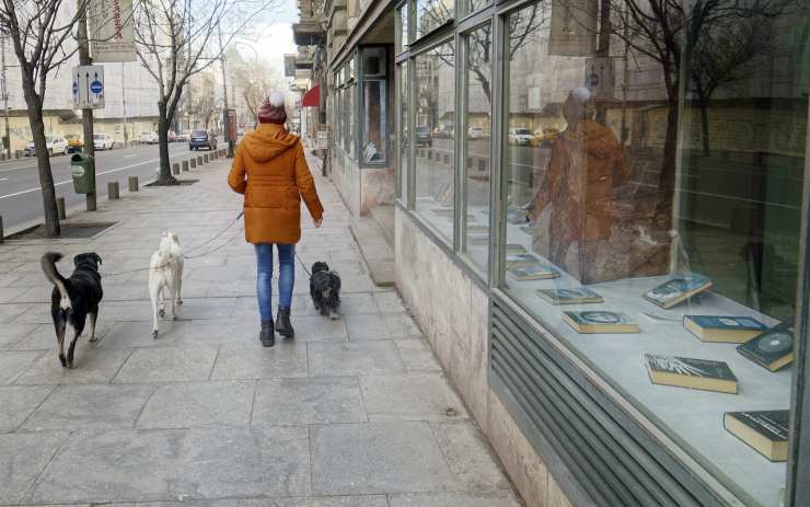 Cane al guinzaglio