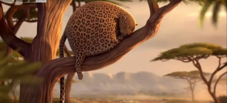 animali leopardo
