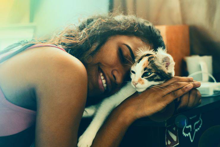Curare l'ansia del gatto
