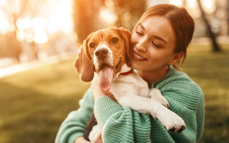 Probiotici per il cane: utili per la salute della sua pelle?
