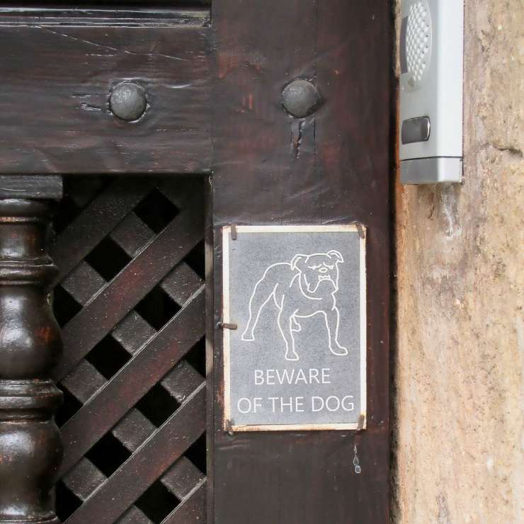 Segnale Attenti al cane