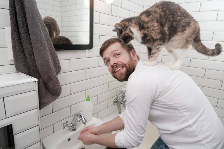 gatti hanno addomesticato uomini