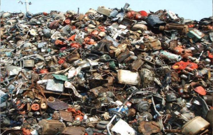gatto in discarica