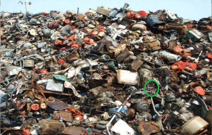 gatto in discarica
