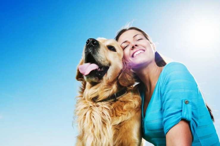Padrone e cane felici insieme Facebook