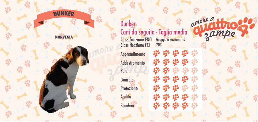 Dunker scheda razza