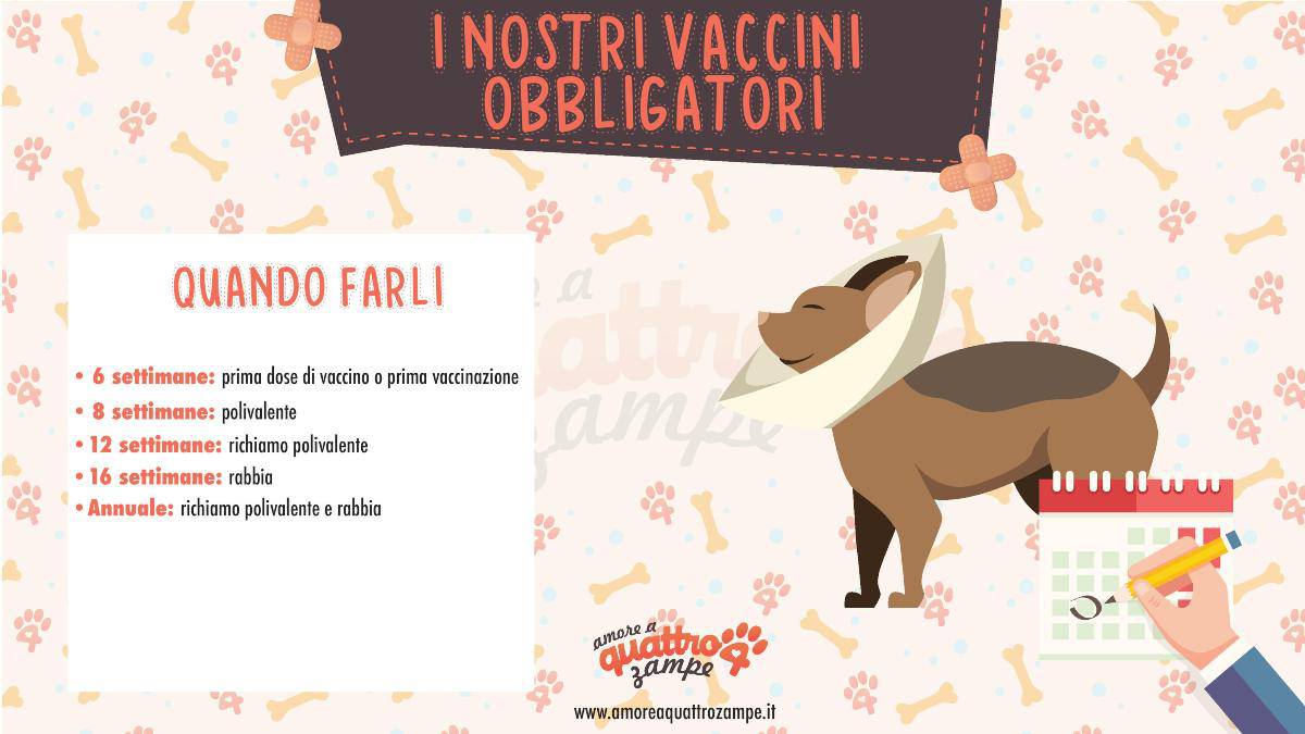 infografica vaccini obbligatori