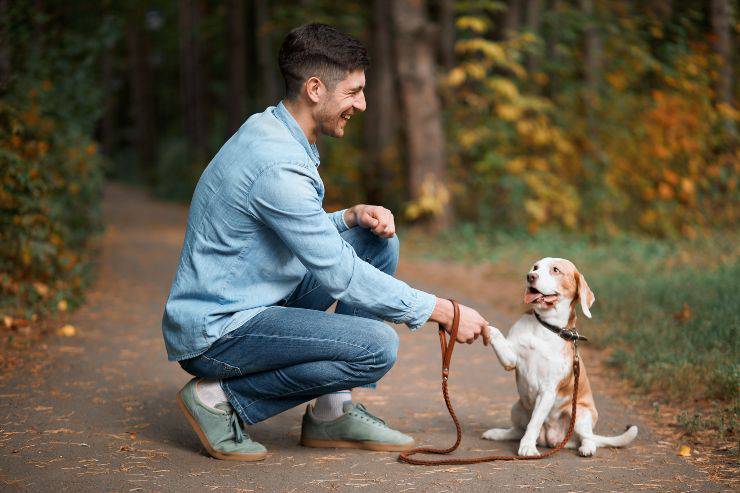 ragazzo cane parco
