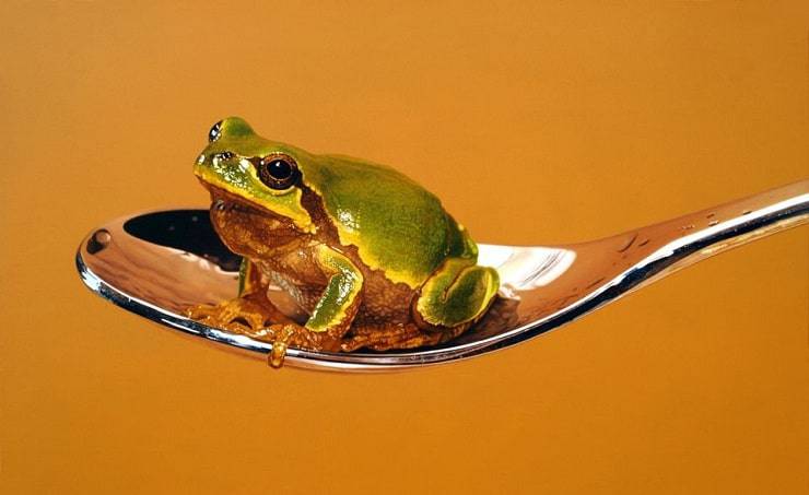 dipinti di animali