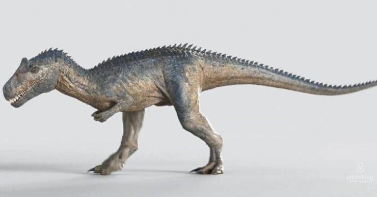 Dinosauri cannibali: il temibile Allosauro