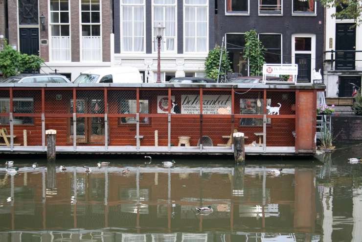 Cat Boat Flickr
