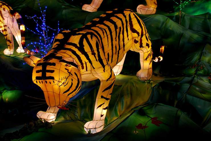 Lanterna cinese tigre