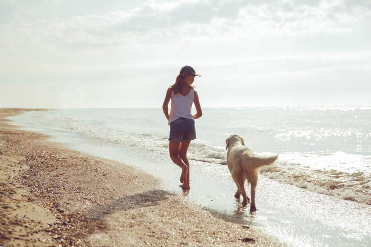 Cane che corre in spiaggia