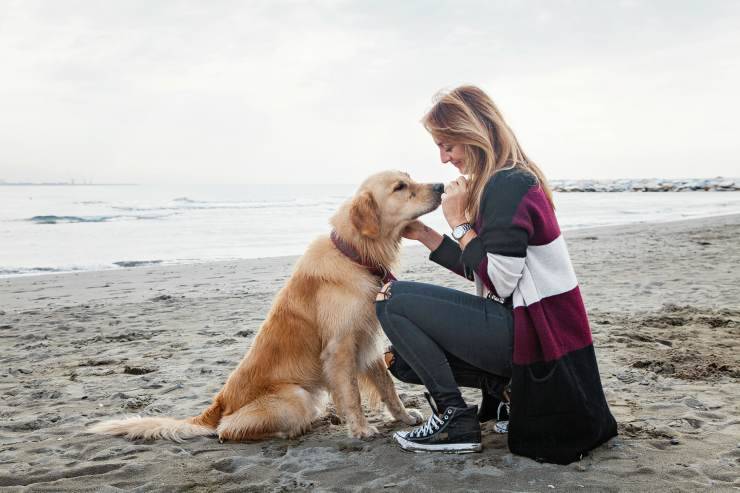 Cane e donna
