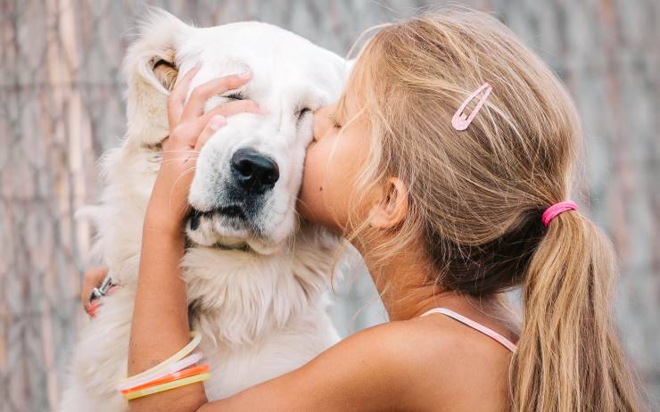 cose che il cane non sopporta