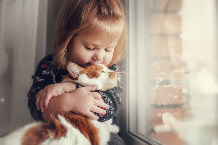 gatti che tollerano gli sconosciuti