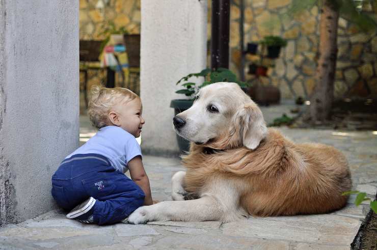 Cucciolo in famiglia