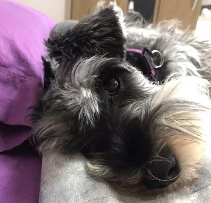 ramona