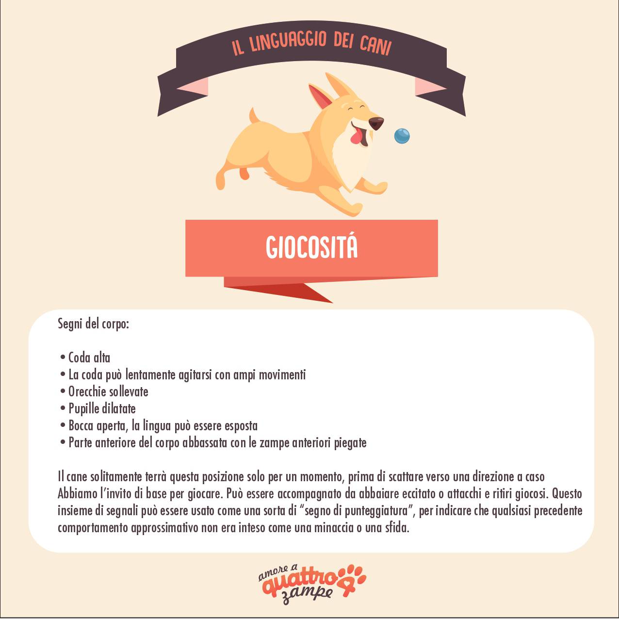linguaggio corpo cane gioco segnali