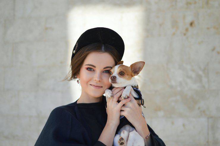 Adottare un chihuahua