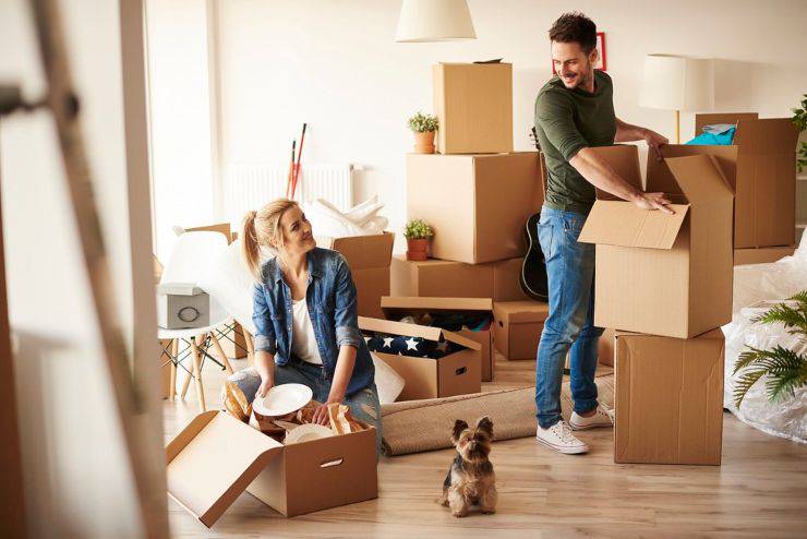 migliori razze cani vita in appartamento