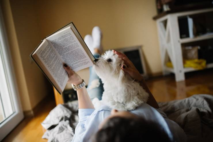 razze di cani che non puzzano in appartamento