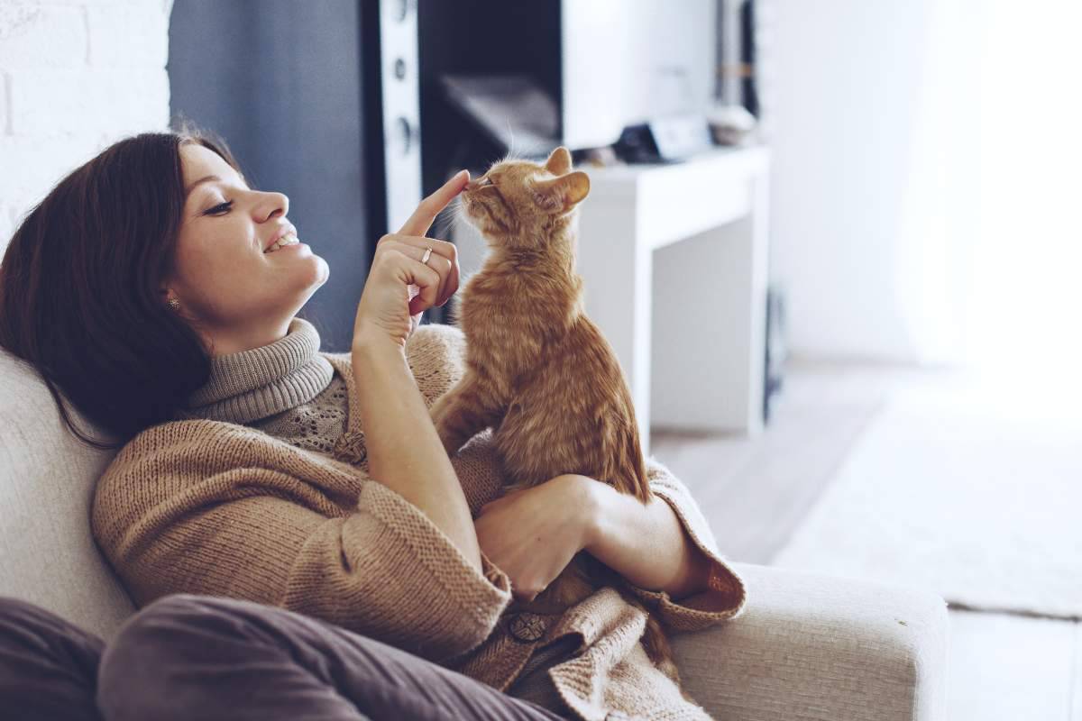 gatti possono avere dipendenze