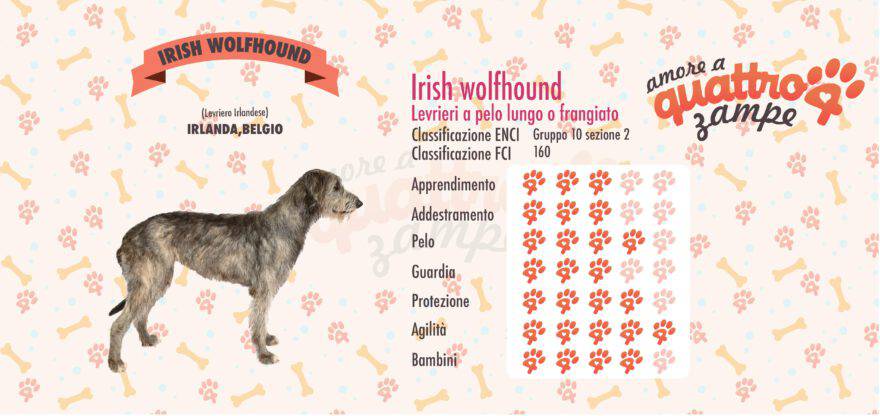 Irish Wolfhound scheda razza