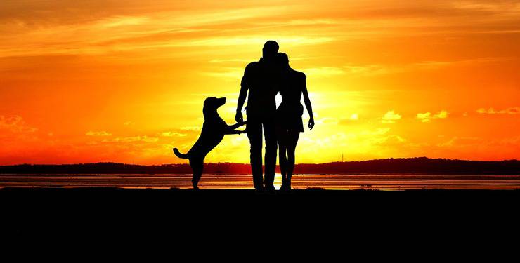 Cane e padroni al tramonto (Foto Pixabay)
