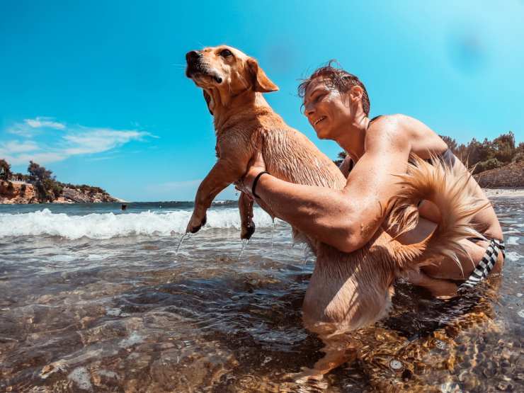 Il cane ha paura del mare