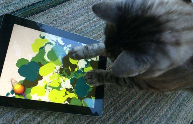 Sembra che i gatti amino i videogames, ma non tutti
