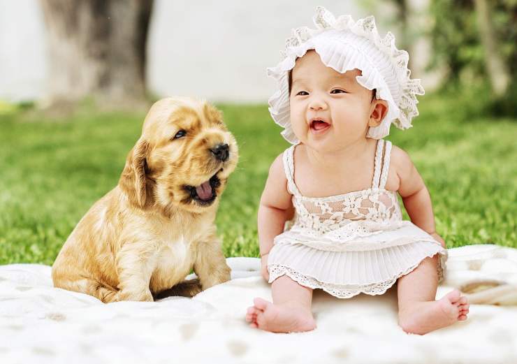 cuccioli