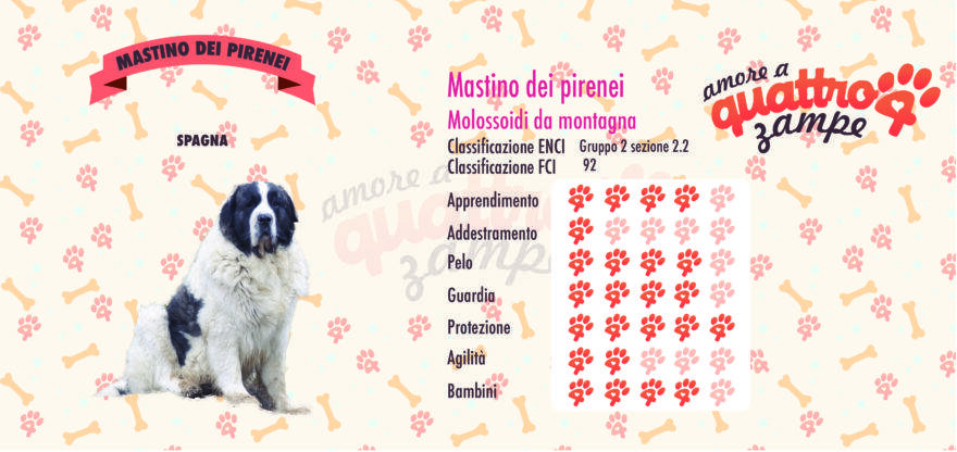 Mastino dei Pirenei scheda razza