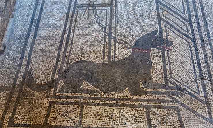 Mosaico con cane
