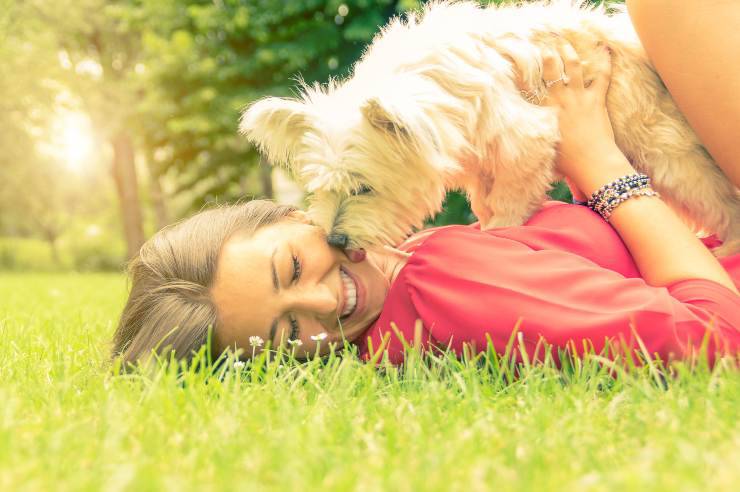 Come essere un buon padrone per il cane