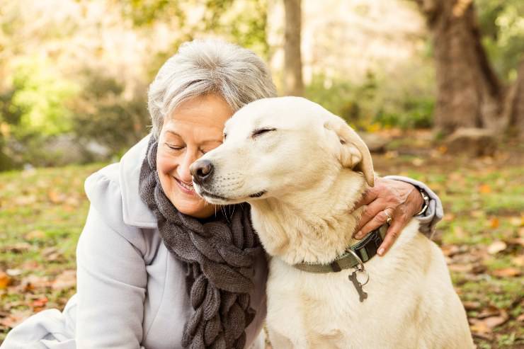Cani che vivono più a lungo cane e anziano