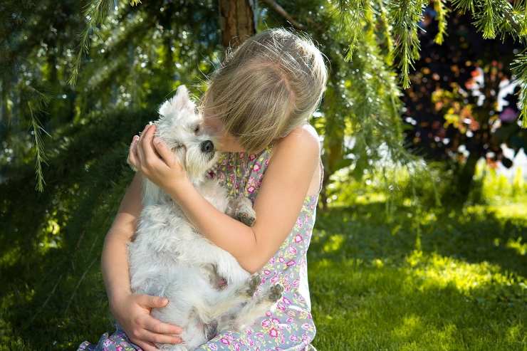 Bambino abbraccia il cane