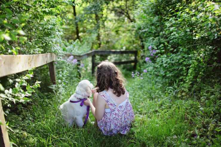 Il cane non sopporta i bambini