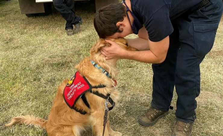 Il bacio al cane Facebook