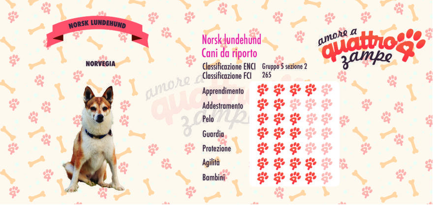 Norsk Lundehund scheda razza