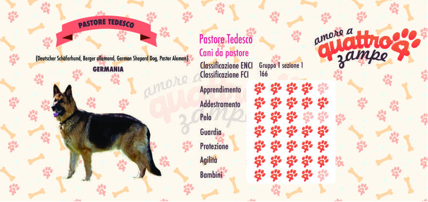 cane da pastore tedesco