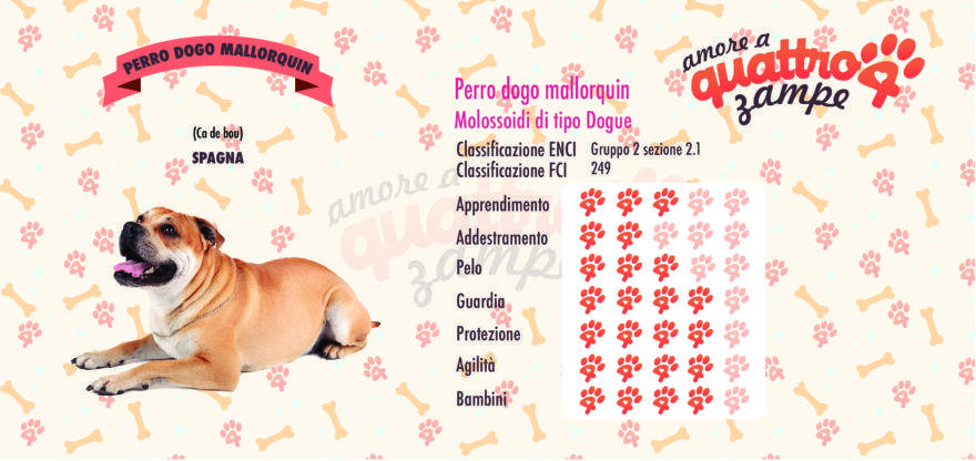 Perro Dogo Mallorquin scheda razza